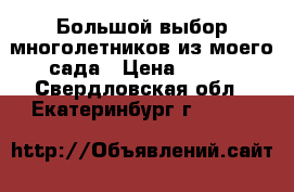 Большой выбор многолетников из моего сада › Цена ­ 100 - Свердловская обл., Екатеринбург г.  »    